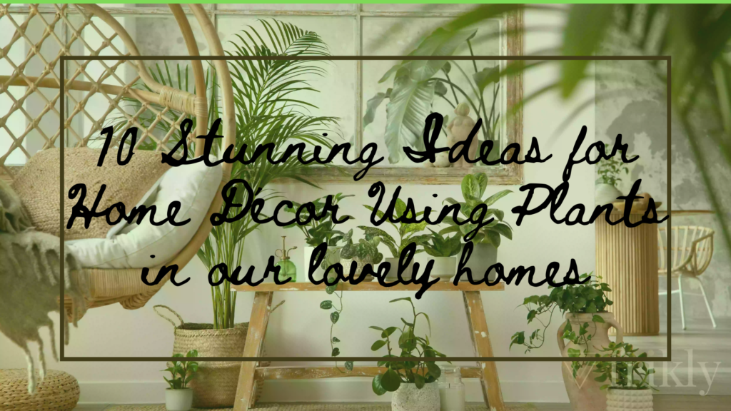 10 Stunning Ideas for Home Décor Using Plants in our lovely homes